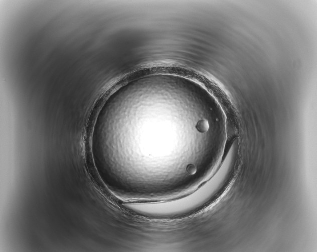 X0000096430921200801311429