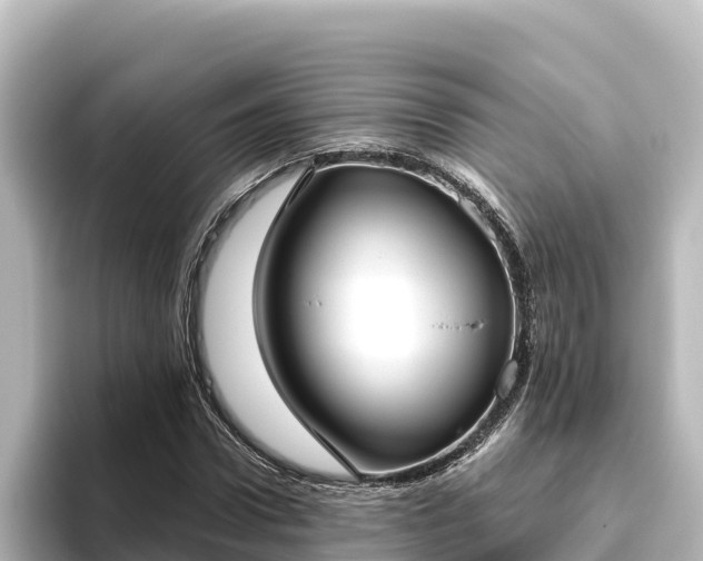 X0000096430922200801311429