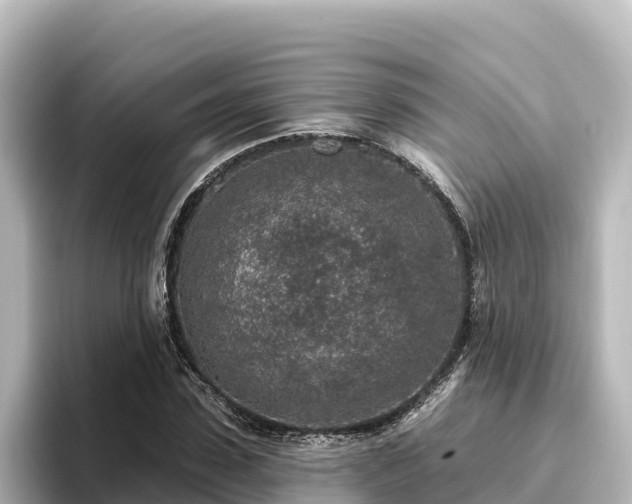 X0000096430923200801311429