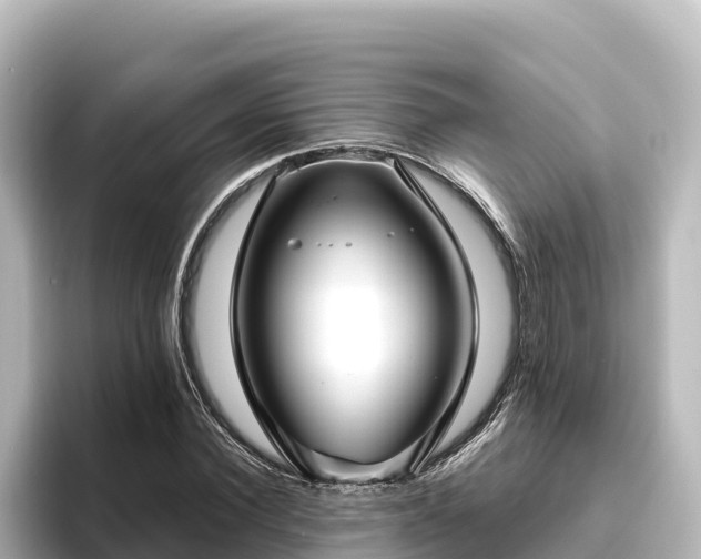 X0000096430924200801311429