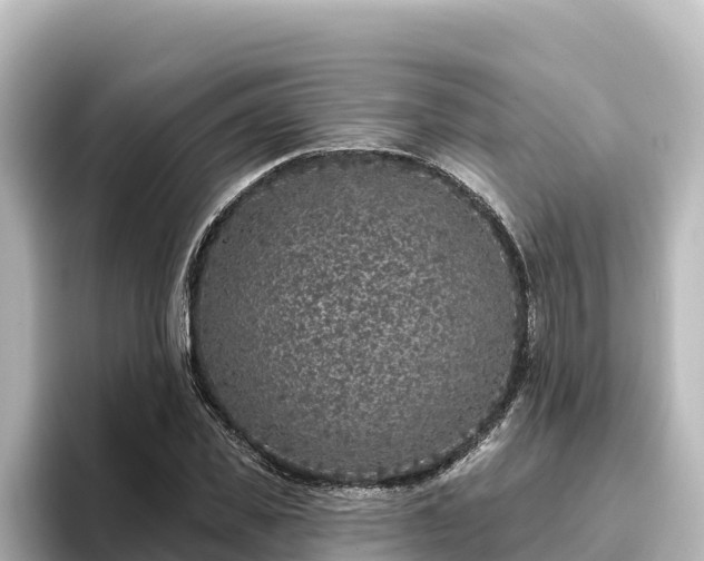 X0000096430925200801311429