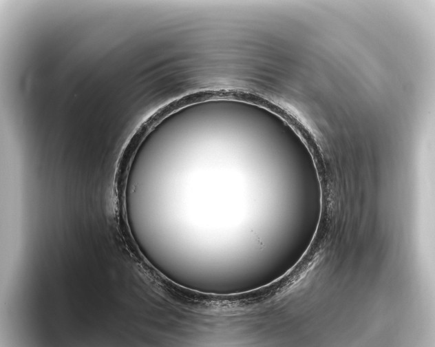 X0000096430927200801311429
