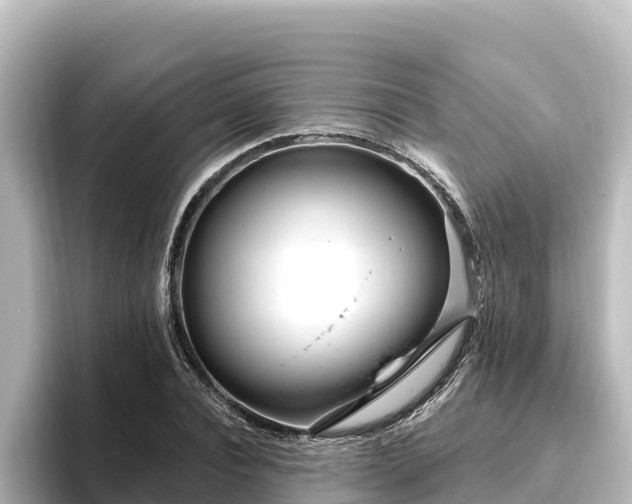X0000096430928200801311429