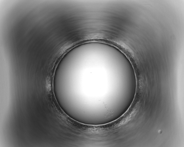X0000096430929200801311429