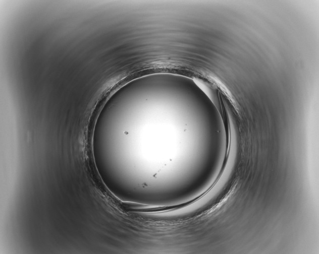 X0000096430930200801311429
