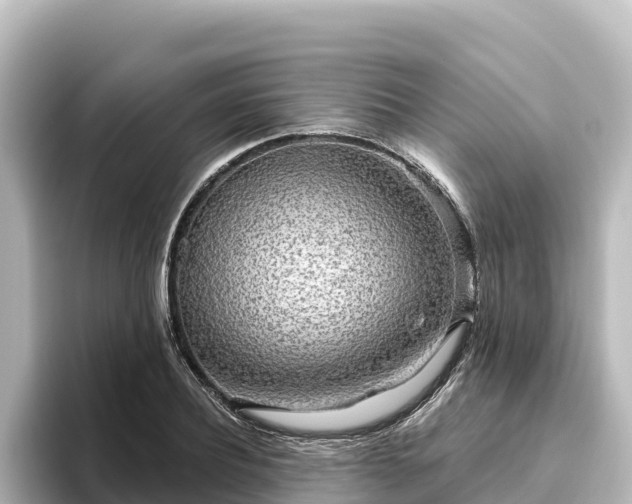X0000096430932200801311429