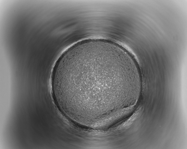 X0000096430935200801311429