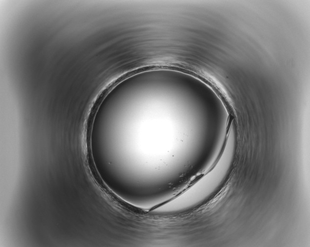 X0000096430939200801311429