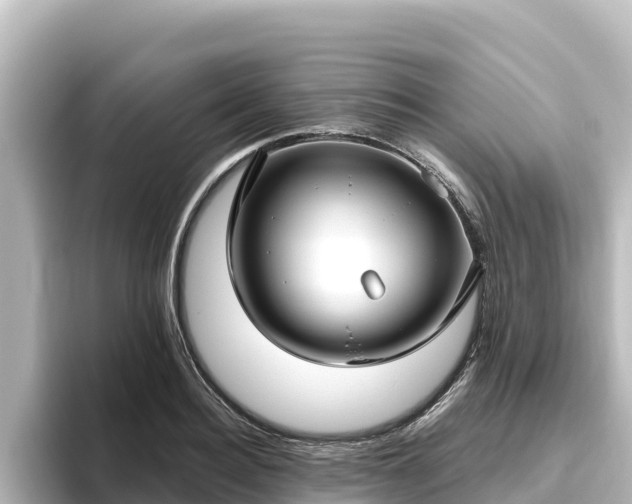 X0000096430940200801311429