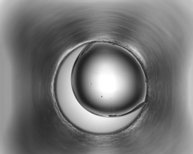 X0000096430944200801311429