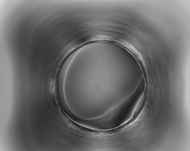 X0000096430945200801311429