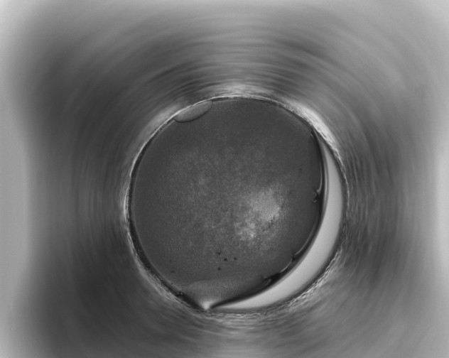 X0000096430946200801311429