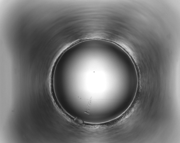 X0000096430949200801311430