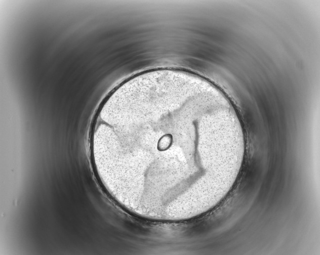 X0000096430950200801311430