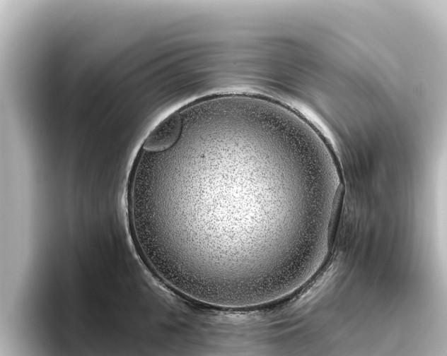 X0000096430951200801311430