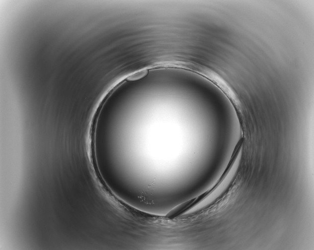 X0000096430955200801311430