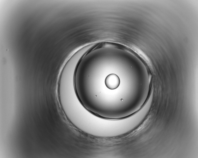 X0000096430956200801311430