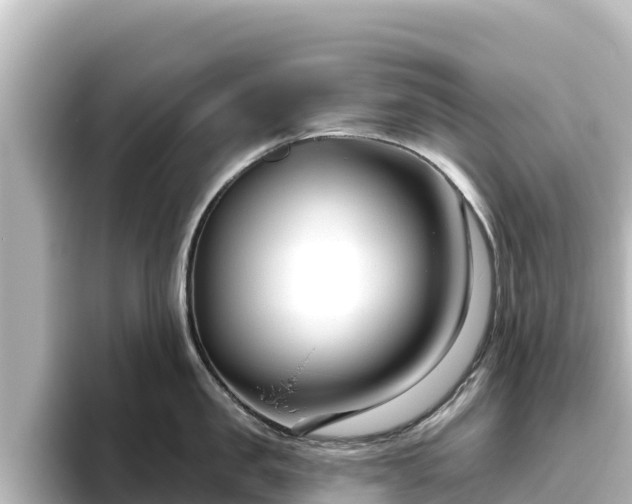 X0000096430957200801311430