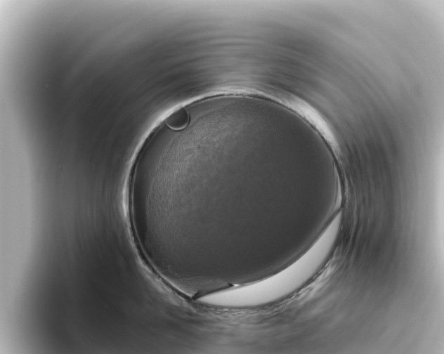 X0000096430958200801311430