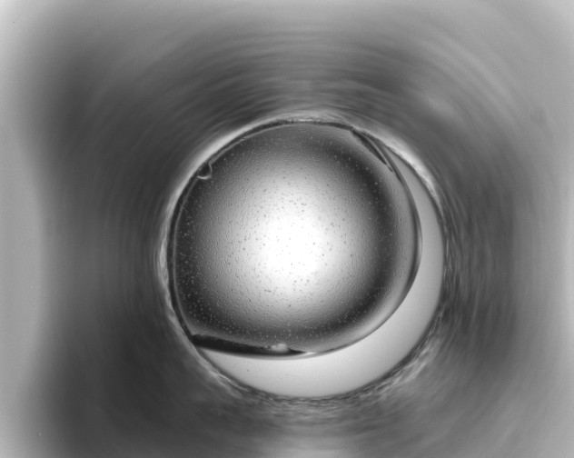 X0000096430959200801311430