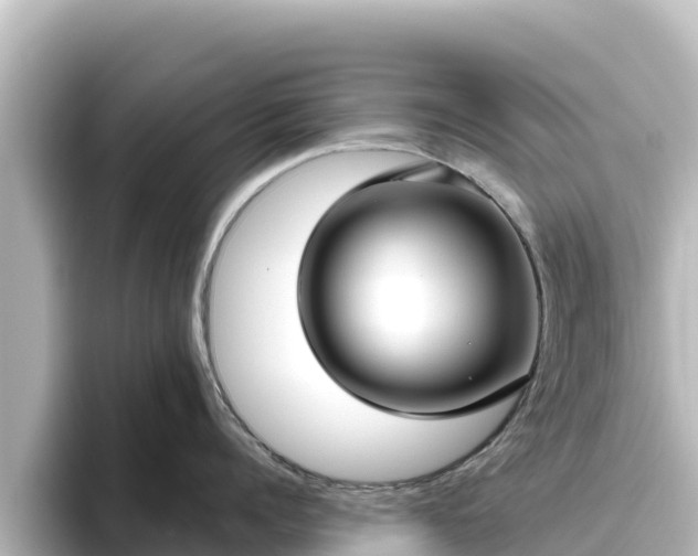 X0000096430960200801311430