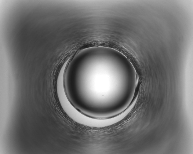 X0000096430961200801311429