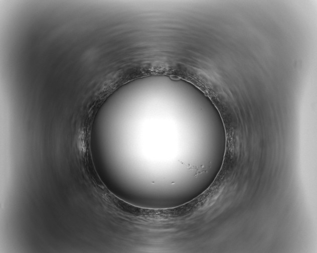 X0000096430962200801311429