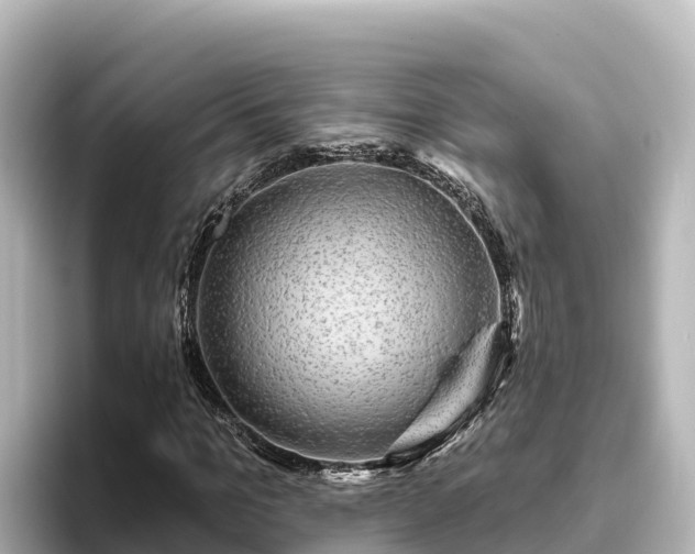 X0000096430965200801311429