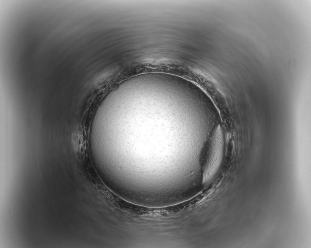 X0000096430966200801311429