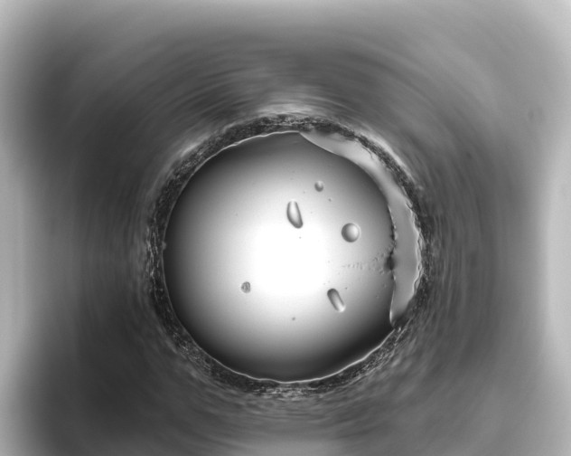 X0000096430967200801311429