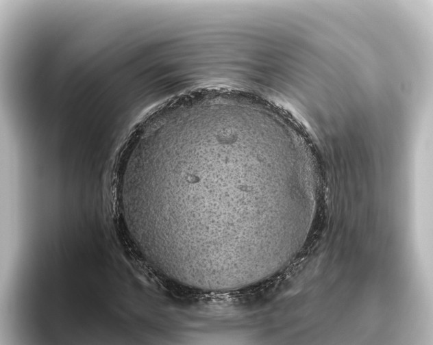 X0000096430968200801311429