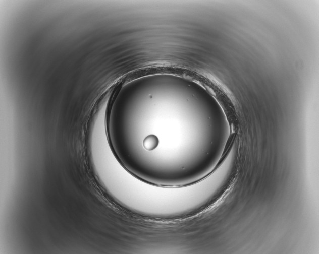 X0000096430969200801311429