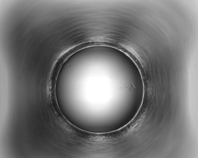 X0000096430971200801311429