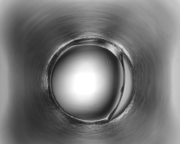 X0000096430973200801311429