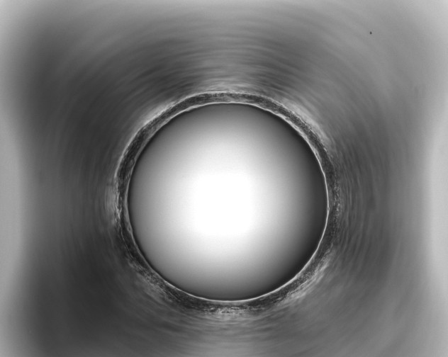 X0000096430974200801311429