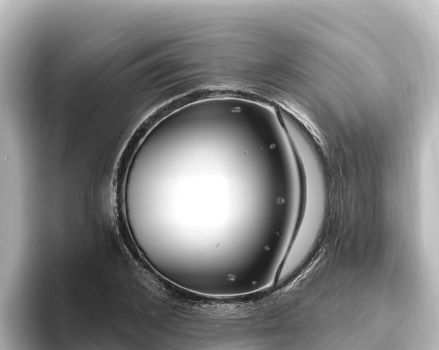 X0000096430976200801311429