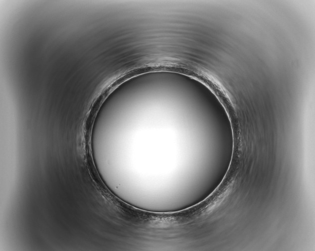 X0000096430978200801311429
