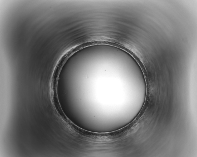 X0000096430979200801311429