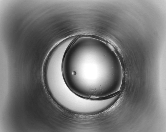 X0000096430981200801311429