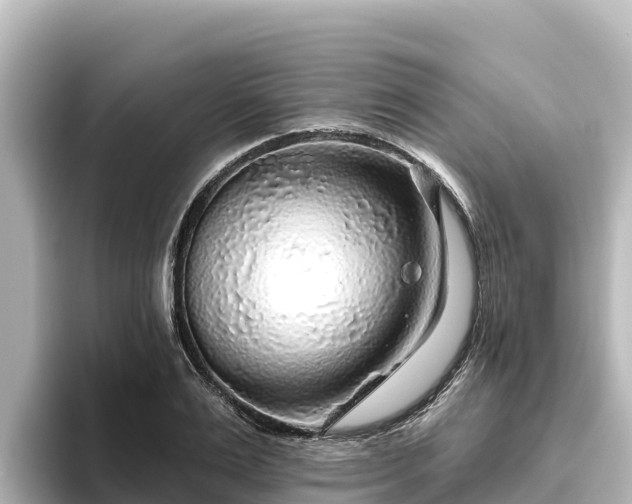 X0000096430983200801311429