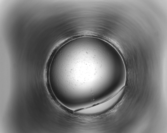 X0000096430987200801311429