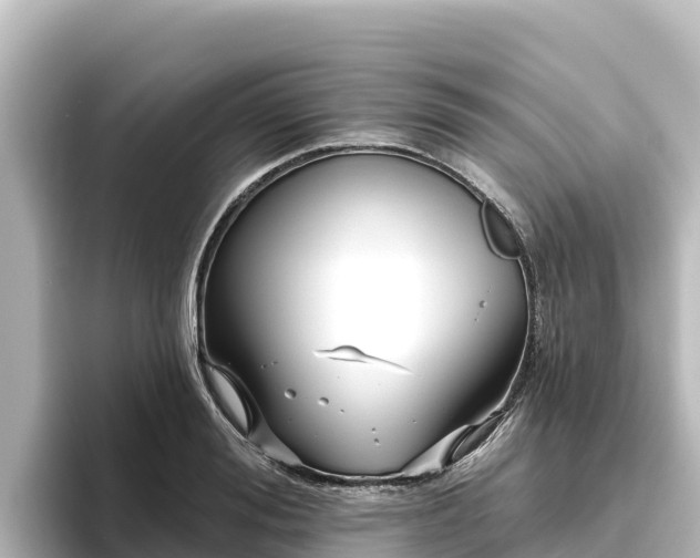 X0000096430988200801311429