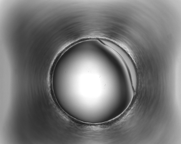 X0000096430990200801311429