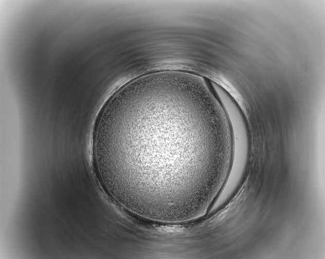 X0000096430994200801311429