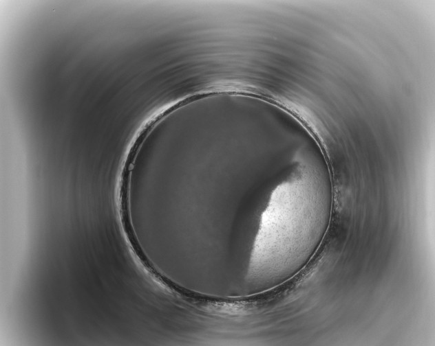 X0000096430995200801311429