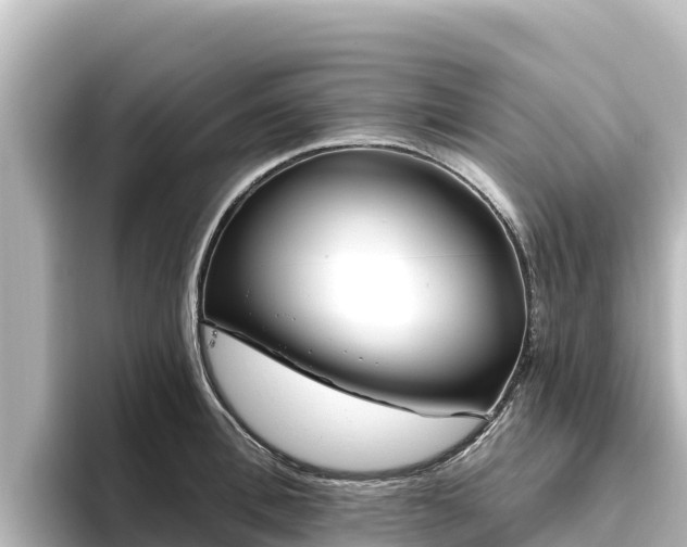 X0000096430996200801311429