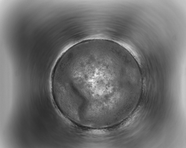 X0000096430998200801311429