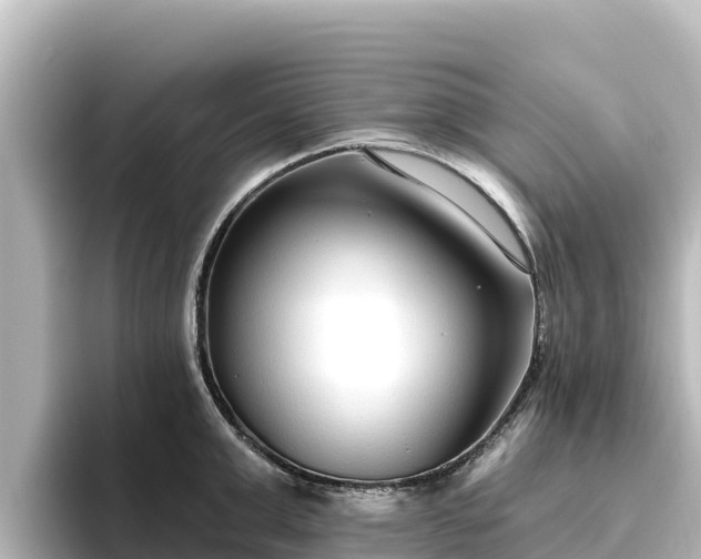 X0000096430999200801311429