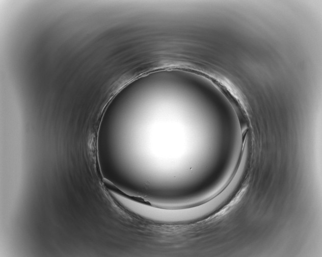 X0000096431001200801311429