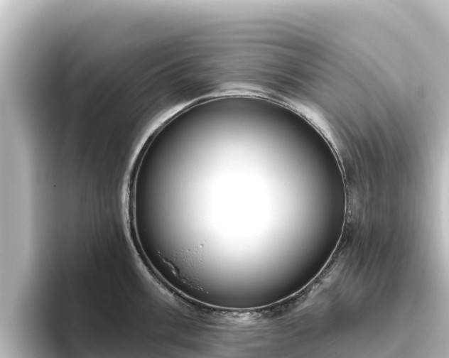 X0000096431003200801311428